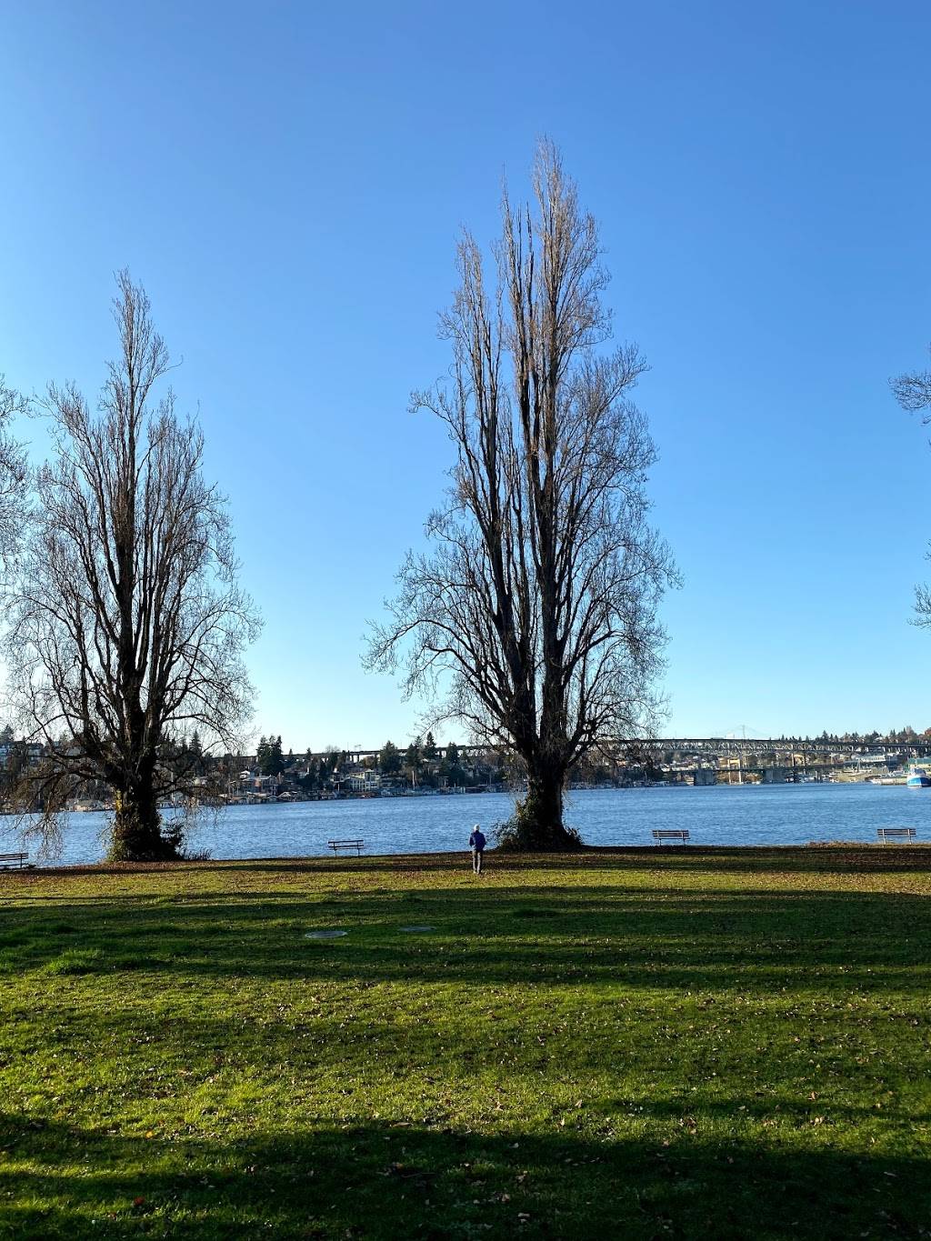 West Montlake Park | 2815 W Park Dr E, Seattle, WA 98112, USA | Phone: (206) 684-4075