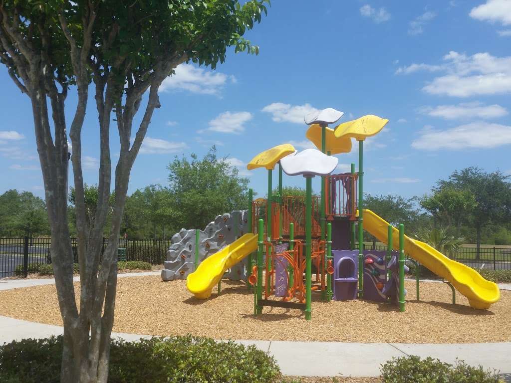 Tanja King Park | 13001 Tanja King Blvd, Orlando, FL 32828, USA | Phone: (407) 658-6565