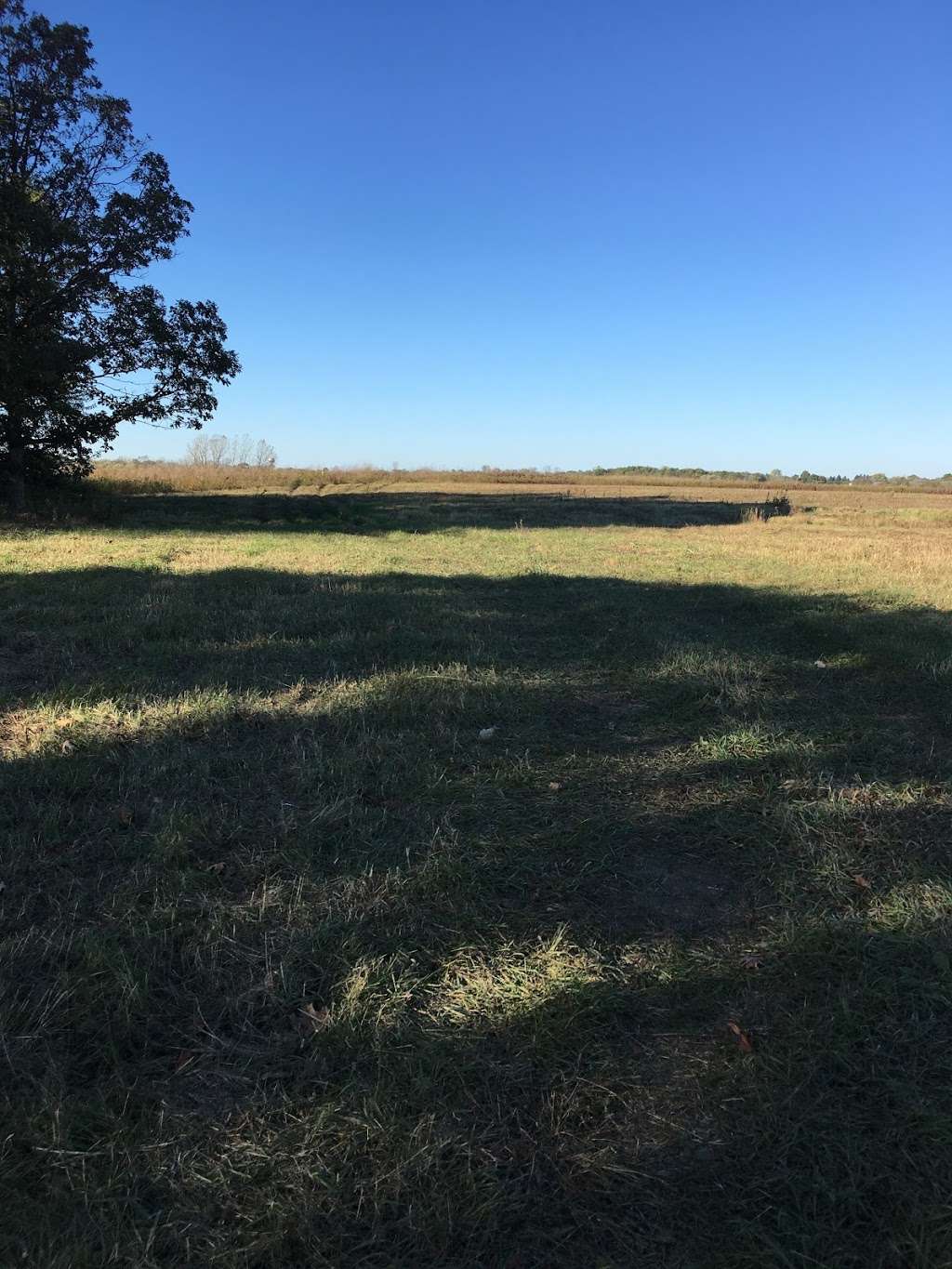 Grassy Ridge Meadow | Hoffman Estates, IL 60192, USA