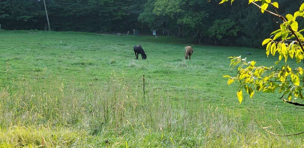 Darlington Valley Open Space | Darlington Trail, Media, PA 19063