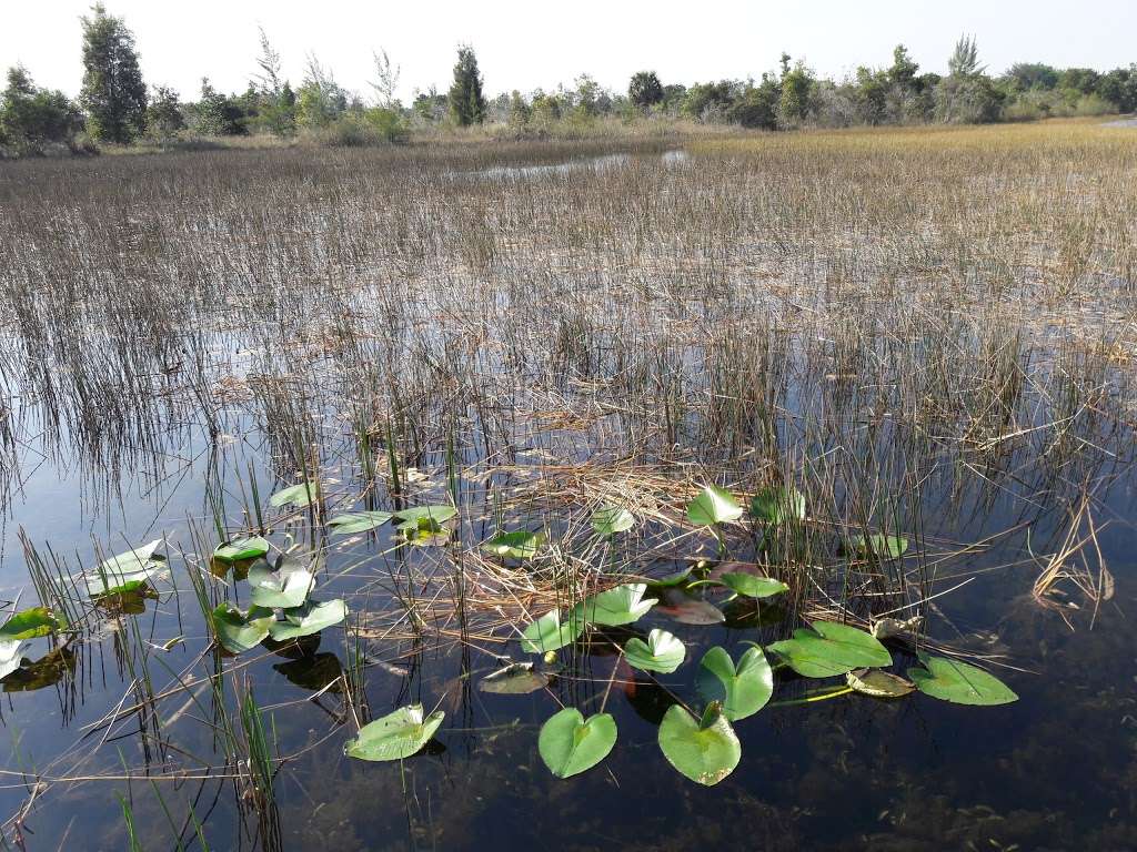 Chapel Trail Nature Preserve | 19800 Sheridan St, Pembroke Pines, FL 33332, USA | Phone: (954) 450-6895