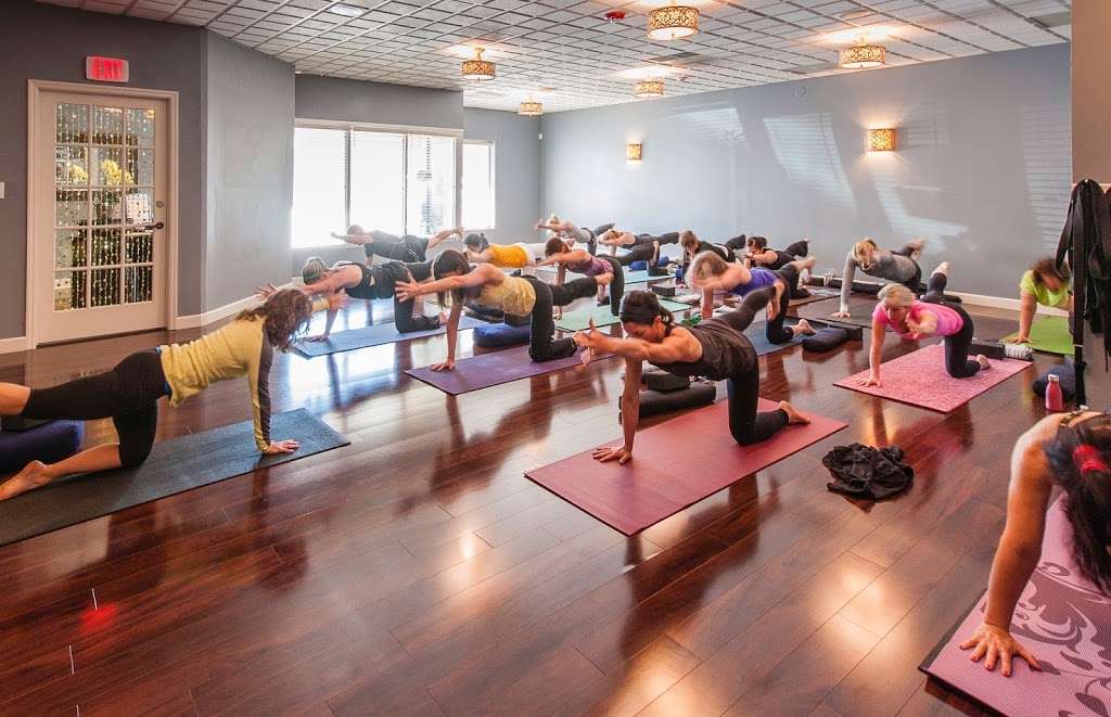 samadhi, a yoga studio | 1312 N Waukegan Rd, Glenview, IL 60025 | Phone: (847) 730-3677