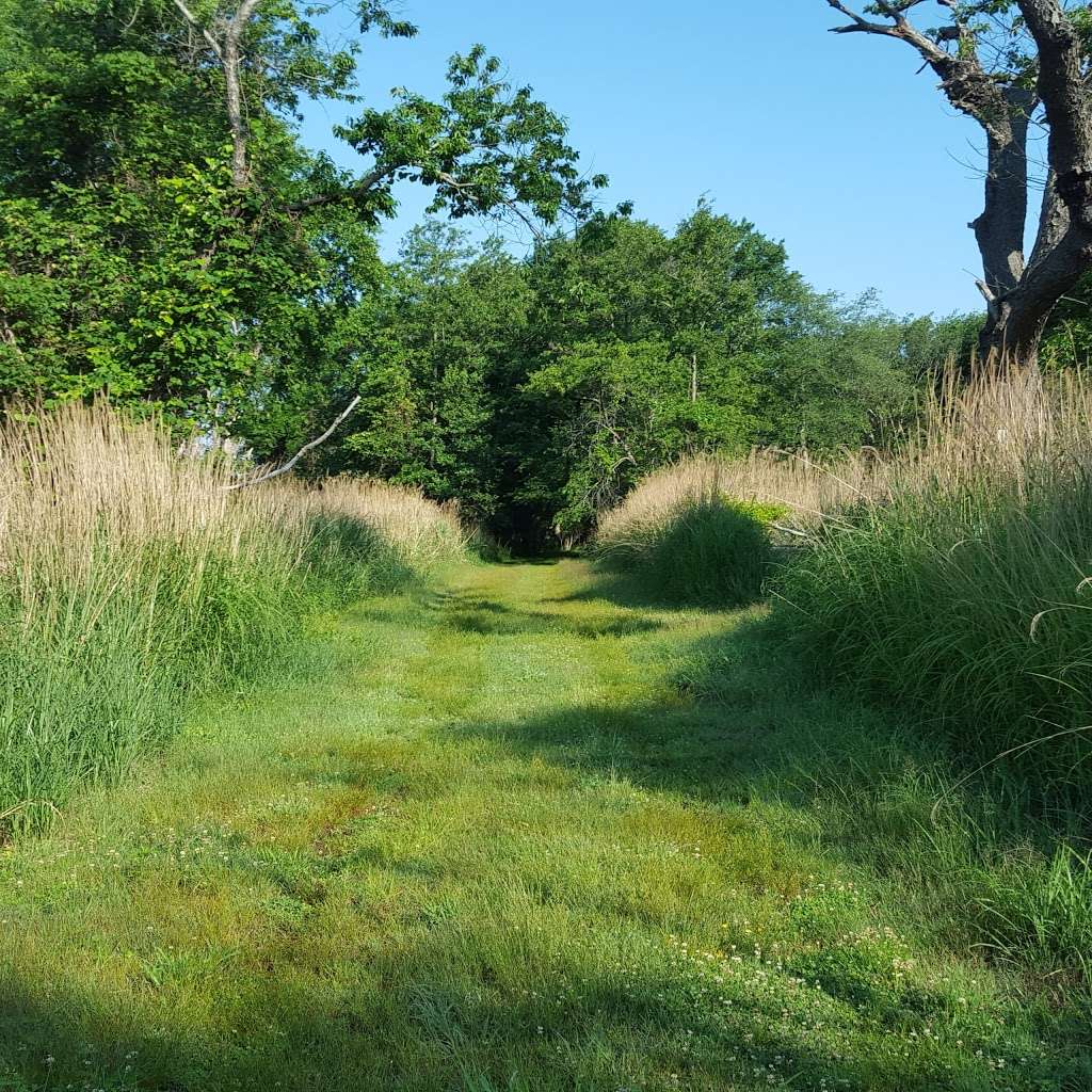 Heckscher State Park | 1 Heckscher State Parkway, East Islip, NY 11730, USA | Phone: (631) 581-2100