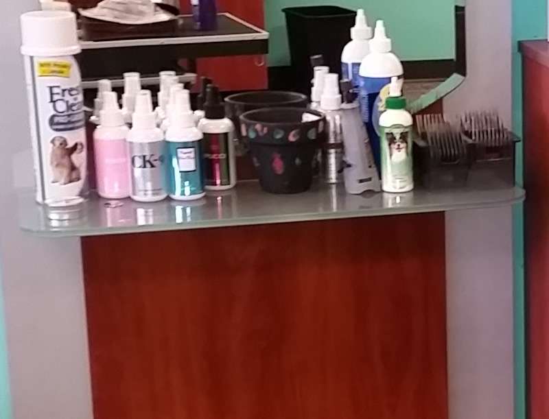 Barkingdales Pet Salon | 2905 Canoe Creek Rd, St Cloud, FL 34772, USA | Phone: (407) 593-6958 Barkingdales Pet Salon | 2905 Canoe Creek Rd, St Cloud, FL 34772, USA | Phone: (407) 593-6958