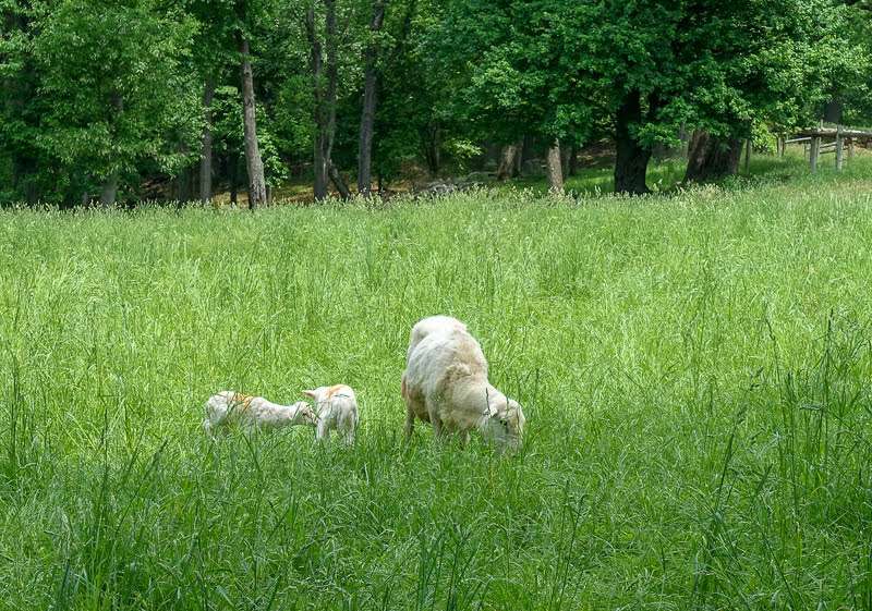 Rockefeller State Park Visitor Center | Tower Hill Rd, Pleasantville, NY 10570, USA | Phone: (914) 631-1470