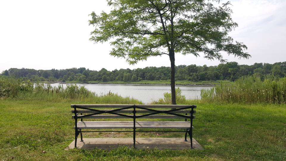 Elizabeth Ortiz Memorial Bench | Bronx, NY 10464, USA