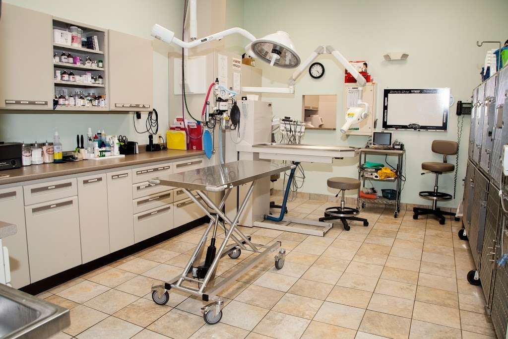 Park Ridge Animal Hospital | 236 W Grand Ave, Park Ridge, NJ 07656, USA | Phone: (201) 391-9494