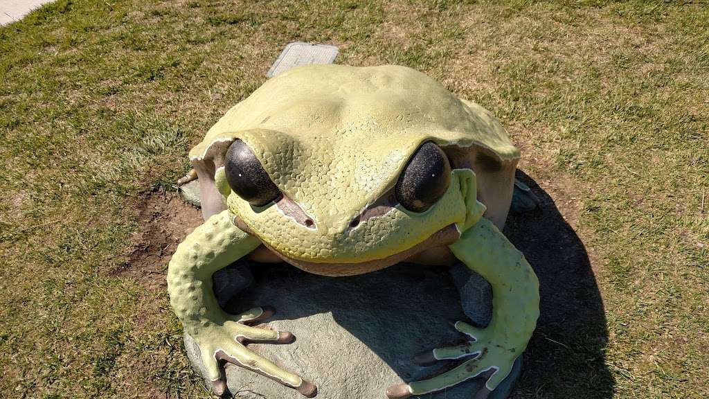 Frog Pad Park | 1000 Willet St, Hercules, CA 94547, USA