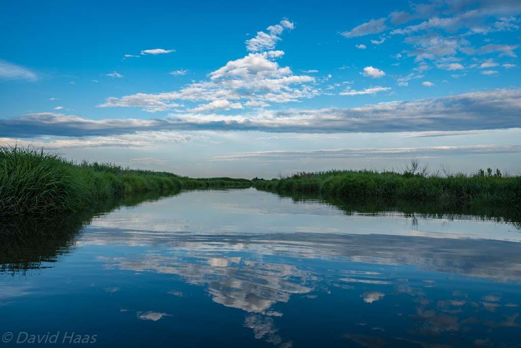 Cedar Swamp State Wildlife Management Area | Townsend, DE 19734