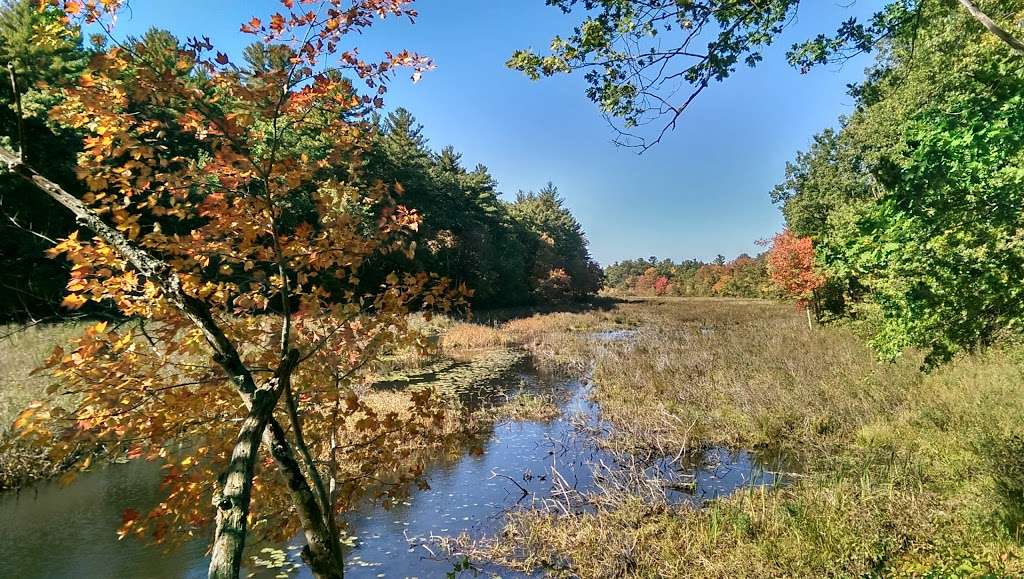 Salem Town Forest | 48 Shadow Lake Rd, Salem, NH 03079, USA | Phone: (603) 890-2000