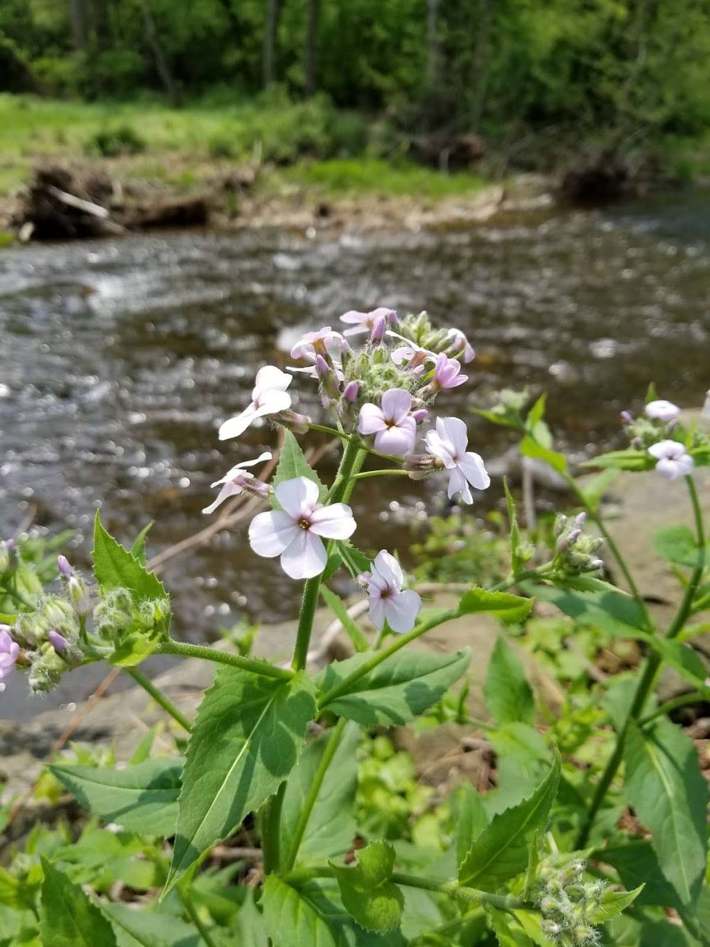 Doubs Meadow Park | Wolfsville Rd & Baltimore National Pike, Myersville, MD 21773, USA | Phone: (301) 293-4281