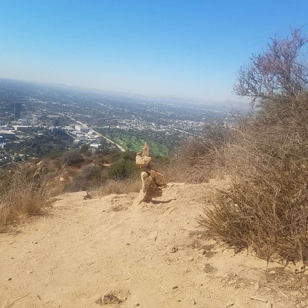 Wisdom tree | 3052 Lake Hollywood Dr, Los Angeles, CA 90068, USA