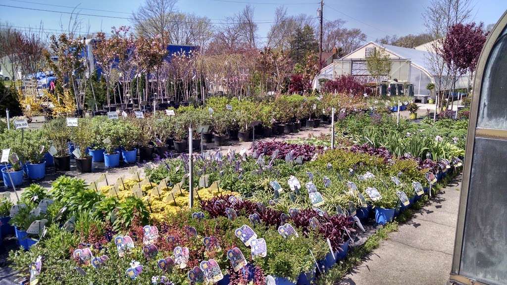 Churchs Garden Center & Farms | 522 Seashore Rd, Cape May, NJ 08204, USA | Phone: (609) 884-3927