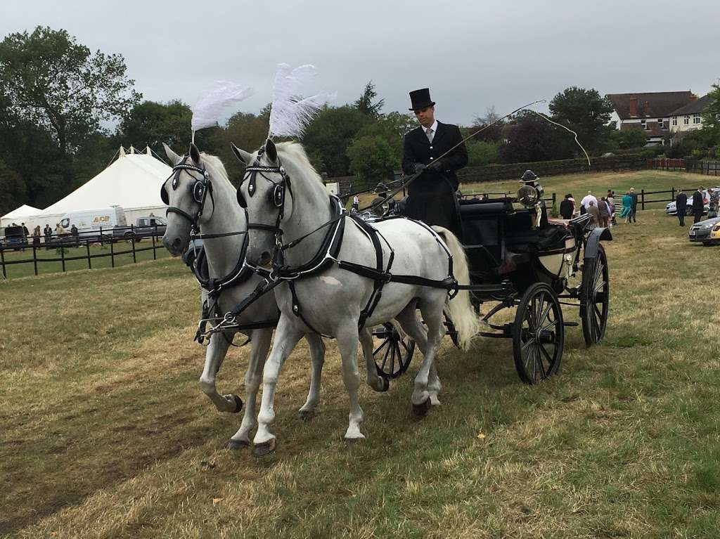 Heritage Horse Drawn Carriage Masters | The Barn Green Farm, Albyns Lane, Stapleford Tawney, Romford RM4 1RX, UK | Phone: 01708 687319