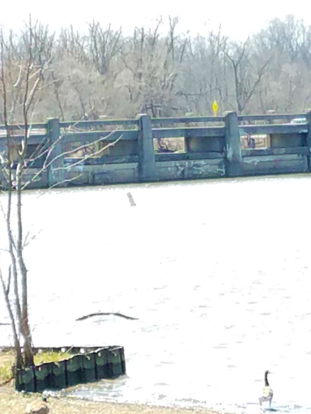 Dam on Skokie River | Winnetka, IL 60093, USA