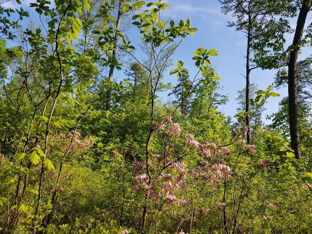 Kings Gap Environmental Education Center | 500 Kings Gap Rd, Carlisle, PA 17015, USA | Phone: (717) 486-5031