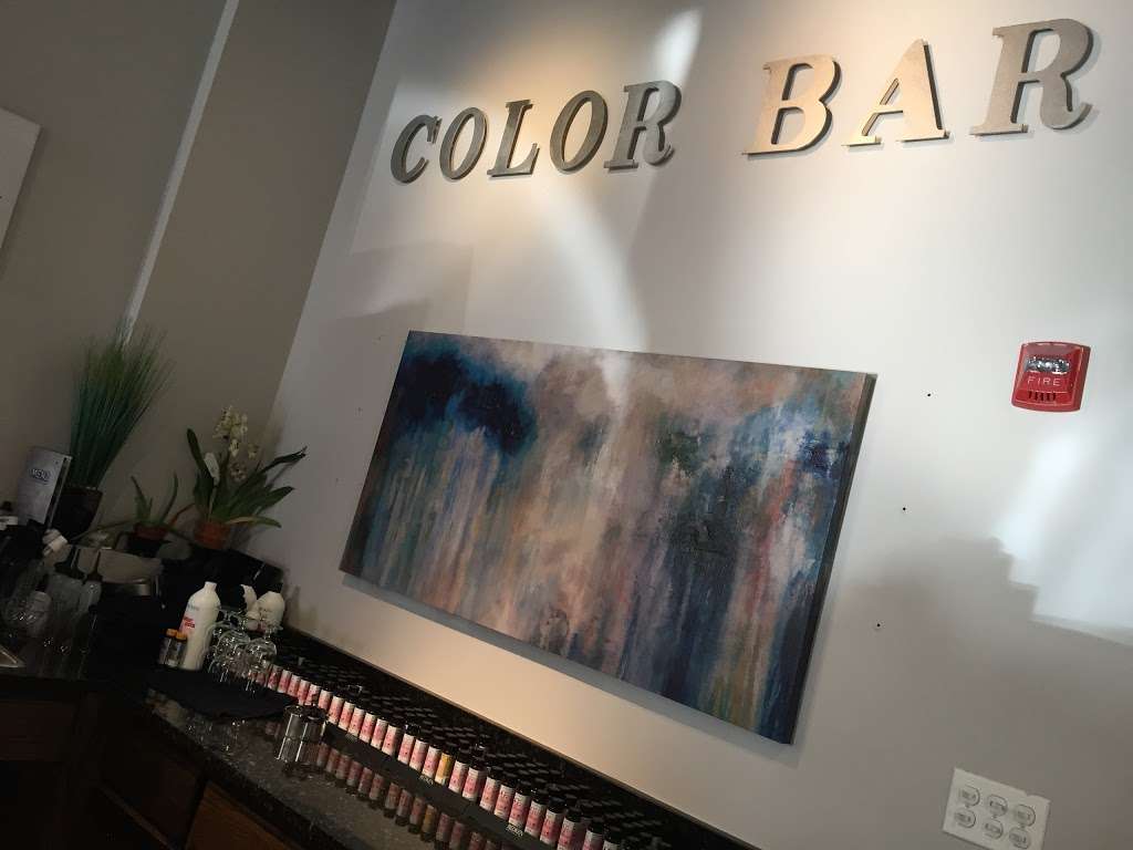 Hair Spa DSheri | 3029 Barrington Rd, Hoffman Estates, IL 60192, USA | Phone: (847) 765-9000