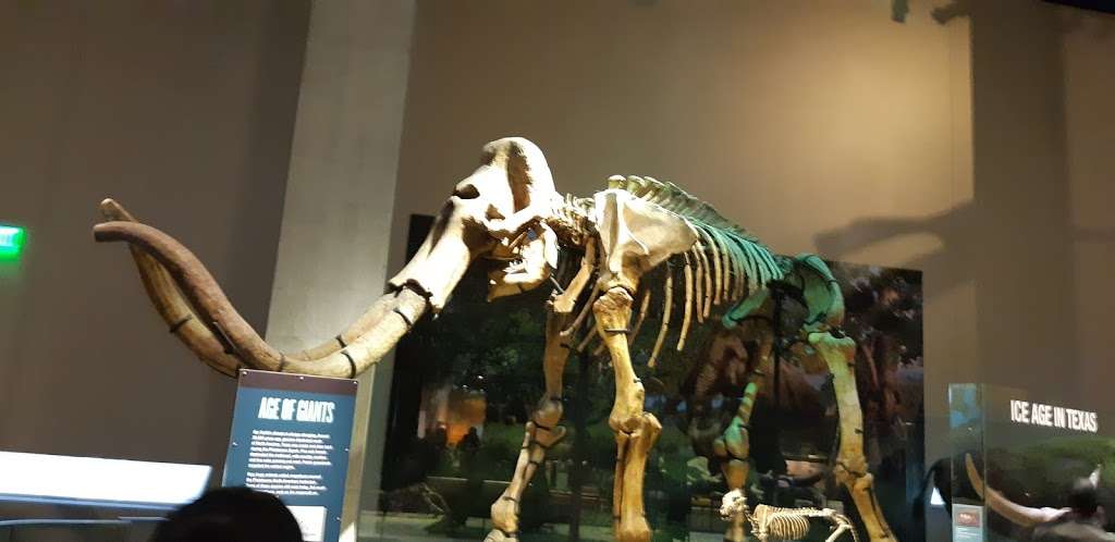 Perot Museum Lot B | 1159 Broom St, Dallas, TX 75202, USA