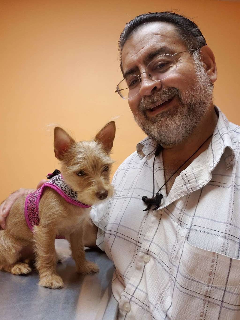 Ridge Road Animal Hospital | 44 Ridge Rd, North Arlington, NJ 07031, USA | Phone: (201) 955-6161