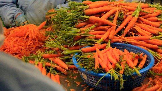 Customized Brokers | 10205 NW 108th Ave #1, Miami, FL 33178, USA | Phone: (305) 471-8989