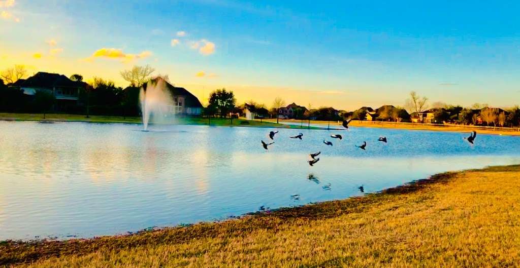 Long Meadow Farms pool | 21018 Long Meadow Farms Pkwy, Richmond, TX 77406, USA