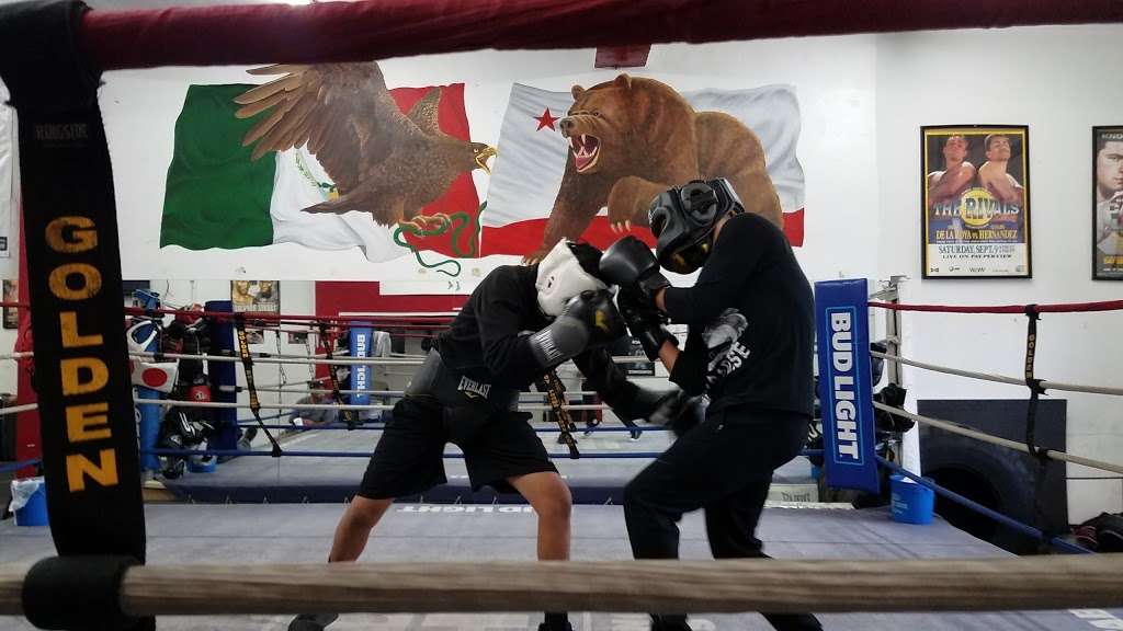 C M Boxing Stables | 3078 Valley Blvd, Alhambra, CA 91803 | Phone: (626) 872-2311