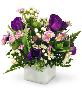 Amazon Flowers | 6730 SW 20th Ct, Miramar, FL 33023 | Phone: (954) 962-6887