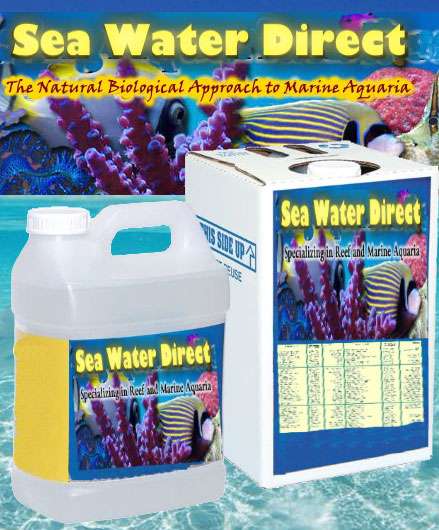 SeaWaterDirect | 2330 S Nova Rd, South Daytona, FL 32119, USA | Phone: (386) 760-3082