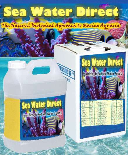 SeaWaterDirect | 2330 S Nova Rd, South Daytona, FL 32119 | Phone: (386) 760-3082