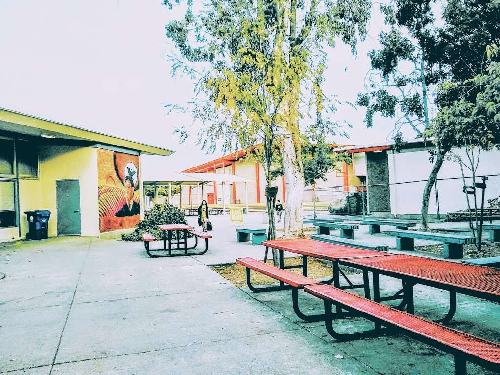 Canyon Middle School | 19600 Cull Canyon Rd, Castro Valley, CA 94552, USA | Phone: (510) 538-8833