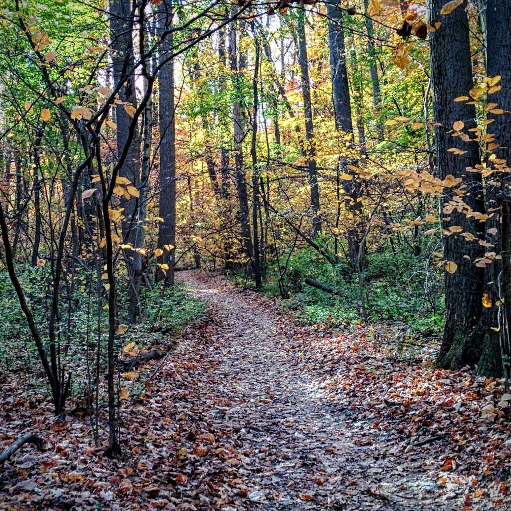 McKaig Nature Center Brower Rd Entrance | 940 Brower Rd, Wayne, PA 19087 | Phone: (484) 580-9474