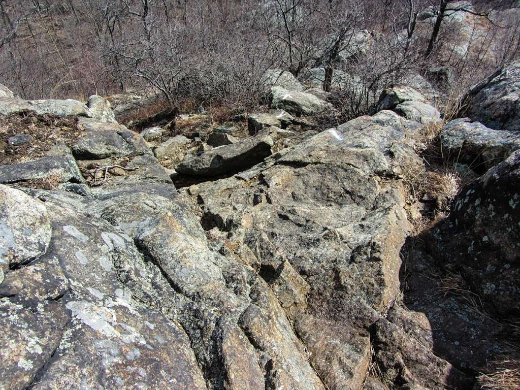 Breakneck Trail | Breakneck Ridge Trail, Cold Spring, NY 10516