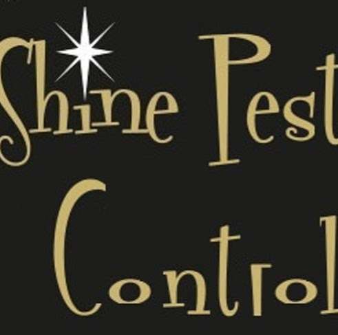 Shine Pest Control | 7 Milton Cres, Chipping Ongar, Ongar CM5 0FF, UK | Phone: 01277 887154