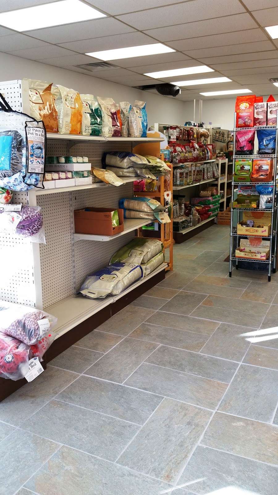 Patsys Pet Stop Inc | 162 Mountainview Blvd, Wayne, NJ 07470, USA | Phone: (973) 339-9080