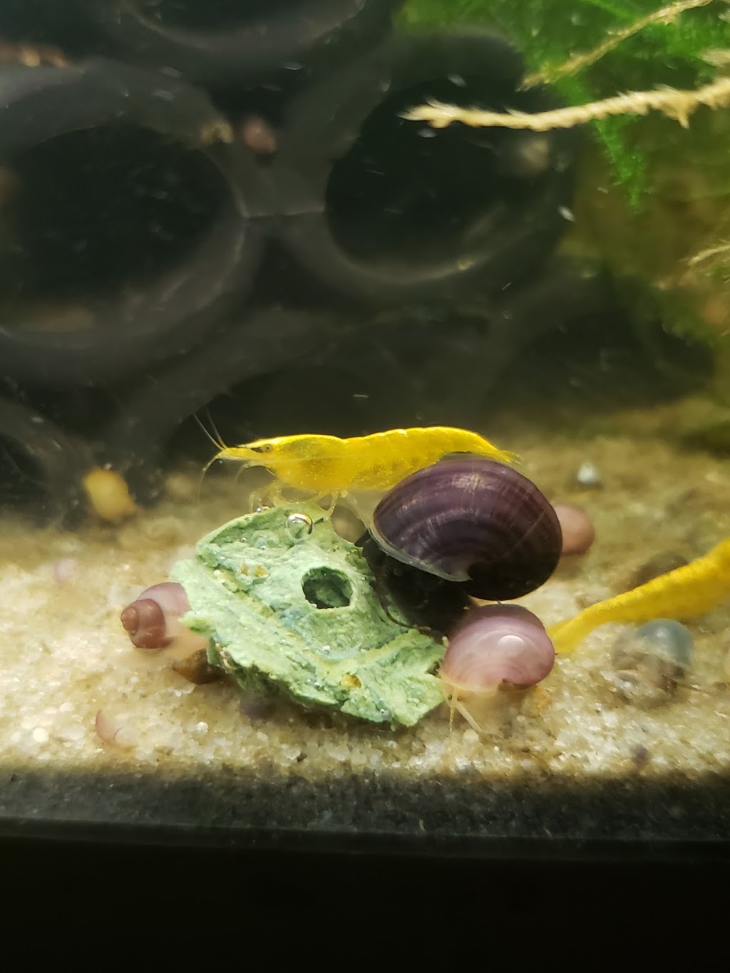 Snabies & Moore | 620 Daniels Rd, Corapeake, NC 27926, USA | Phone: (252) 333-8611