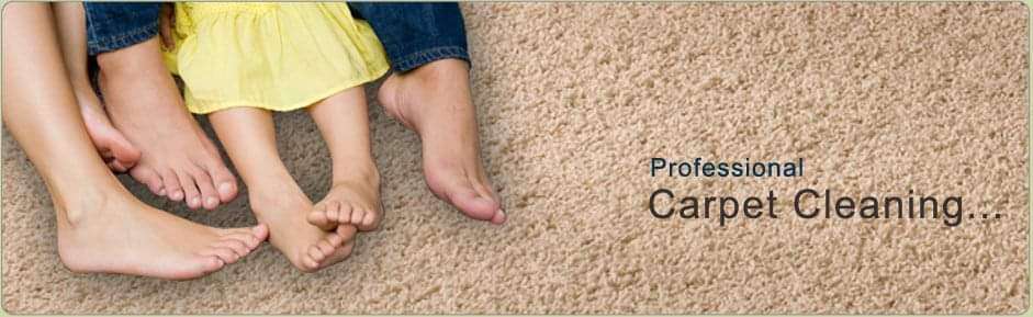 Sandoval Carpet Cleaning LLC-Professional Carpet Cleaning in Kan | 2816 N 17th St, Kansas City, KS 66104, USA | Phone: (913) 957-2409