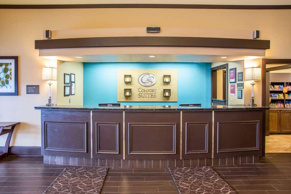 Comfort Suites OHare Airport | 4200 N River Rd, Schiller Park, IL 60176, USA | Phone: (847) 233-9000