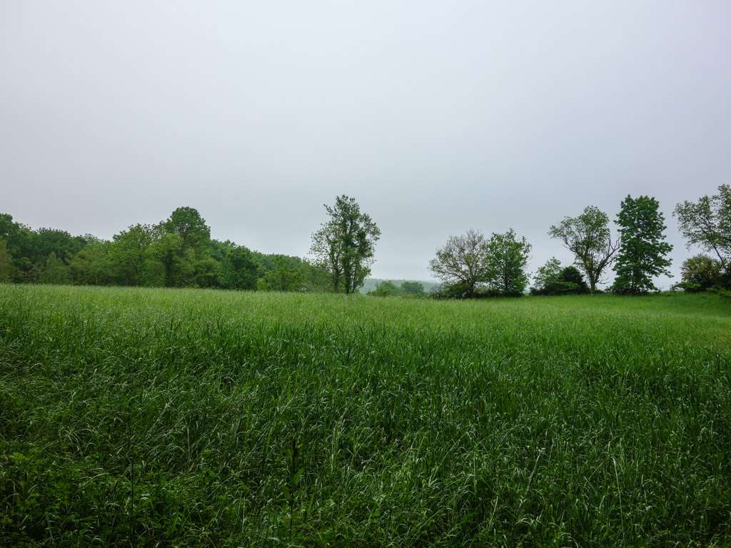 Appalachian Trail | Courtright Rd, Wantage, NJ 07461, USA