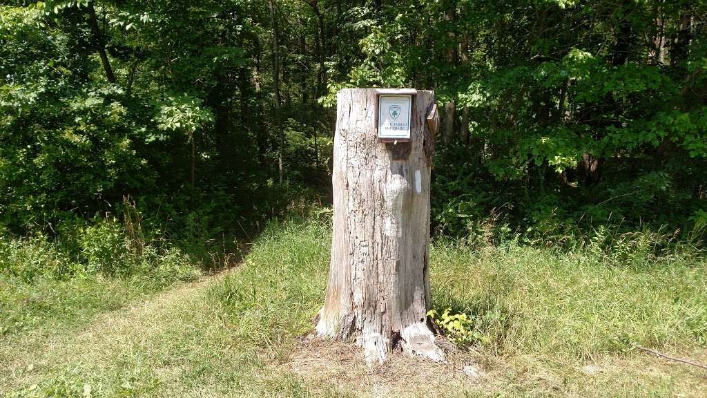 Culvers Gap Parking Lot | 2 Vansickle Road, Sandyston, NJ 07826, USA