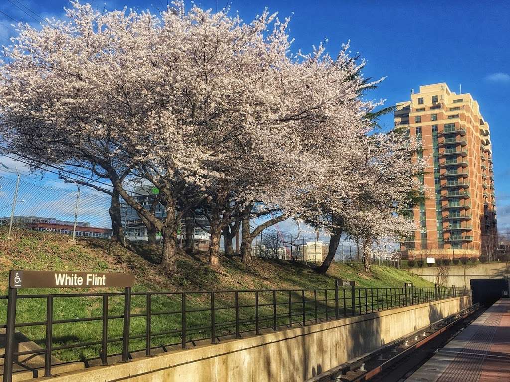 White Flint Station | North Bethesda, MD 20852