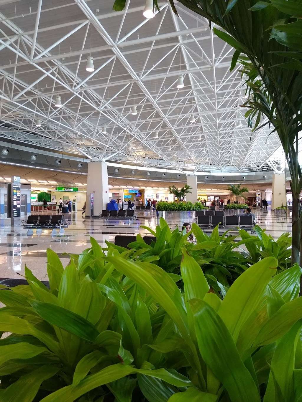 Miami International Airport | 2100 NW 42nd Ave, Miami, FL 33126, USA | Phone: (305) 876-7000