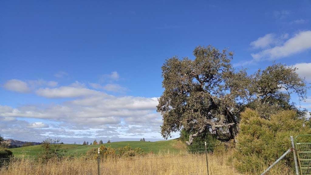 Black Diamond Hiking Trail Near Oakhurst | Black Diamond Trail, Clayton, CA 94517, USA