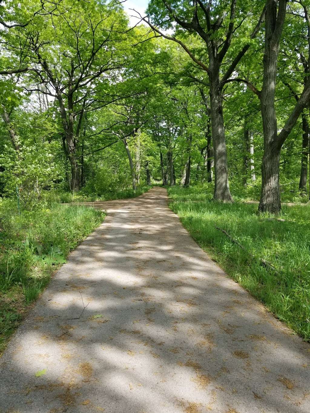 Riverside Park | 1500 E Riverside Pl, Milwaukee, WI 53211, USA | Phone: (414) 962-8809