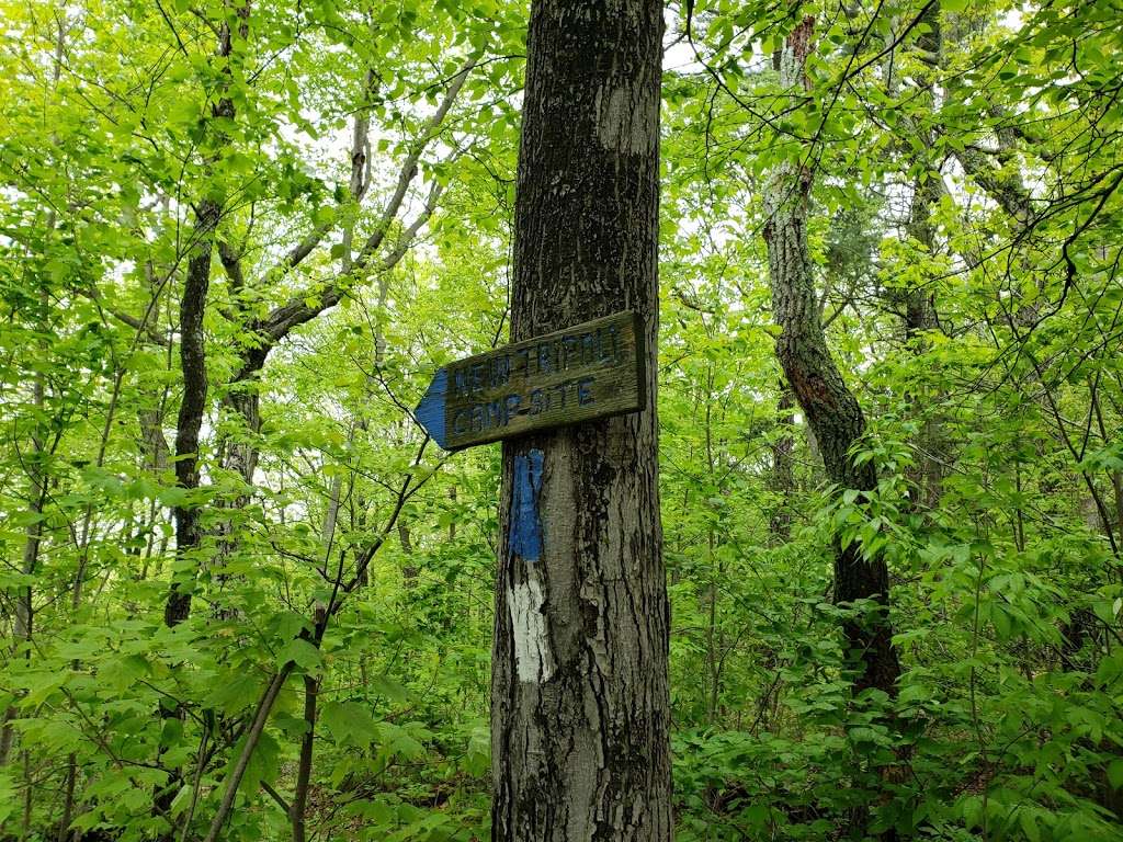 Power Line Crossing | Appalachian Trail, New Tripoli, PA 18066, USA