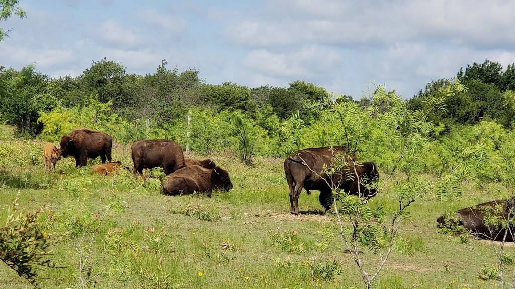 Fort Worth Nature Center & Refuge | 9601 Fossil Ridge Rd, Fort Worth, TX 76135, USA | Phone: (817) 392-7410