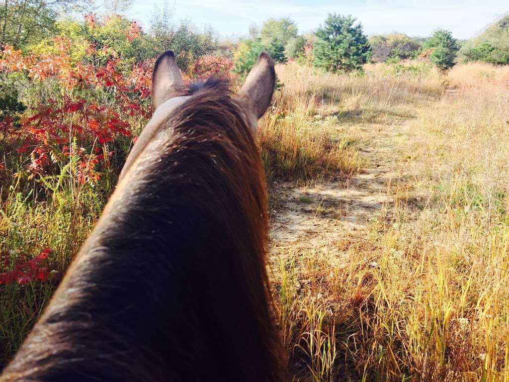 Legacy Riding Stables | 3333 Bordentown Ave, Parlin, NJ 08859 | Phone: (732) 727-3838