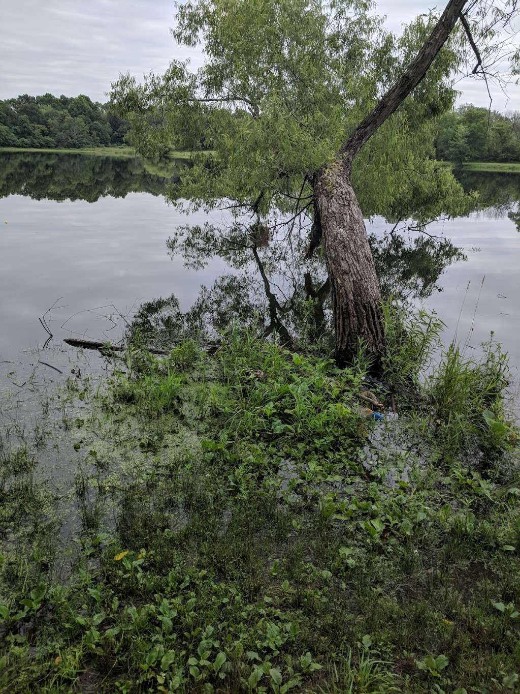 Arrowhead Lake Forest Preserve | 7016-7080 W 135th St, Orland Park, IL 60462, USA