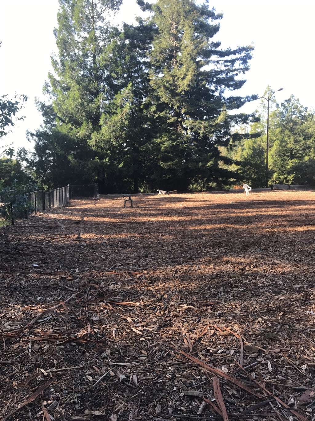 Joaquin Miller Dog Park | 3590 Sanborn Dr, Oakland, CA 94602, USA | Phone: (510) 238-3739