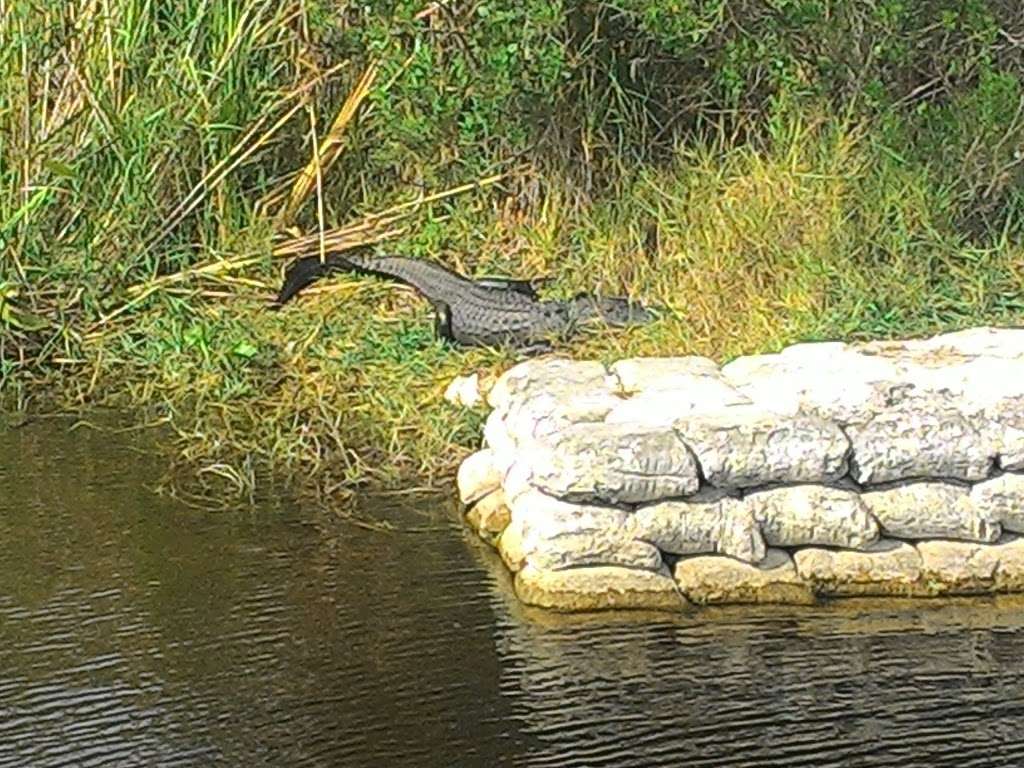 Francis S Taylor WMA | Florida, USA