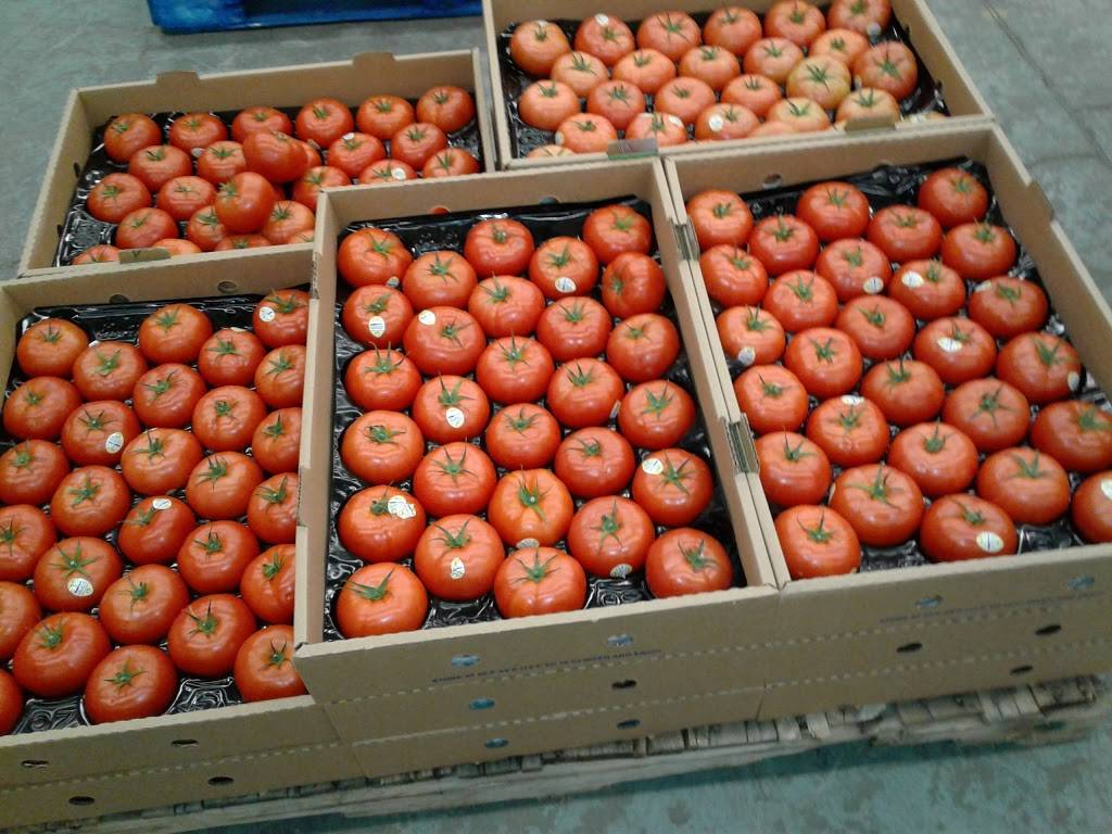 Wheatfield Gardens | 7341 Shawnee Rd, North Tonawanda, NY 14120, USA | Phone: (716) 694-0085 Wheatfield Gardens | 7341 Shawnee Rd, North Tonawanda, NY 14120, USA | Phone: (716) 694-0085